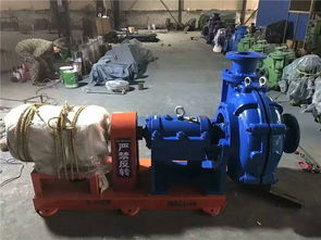 利澤泵業(yè) 圖 80zj 36臥式吸沙泵 臥式吸沙泵