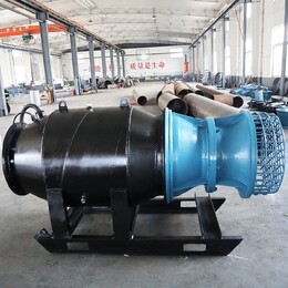 遼寧營口潛水貫流泵價(jià)格實(shí)惠