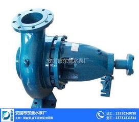 型雙吸泵,zjl液下渣漿泵,臥式渣漿泵 安國市東藍水泵廠
